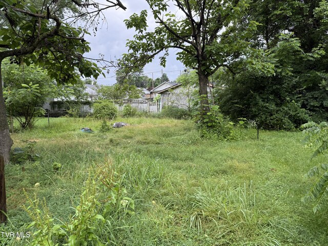 1741 Dunlap St, Bristol, VA 24201 - view of yard