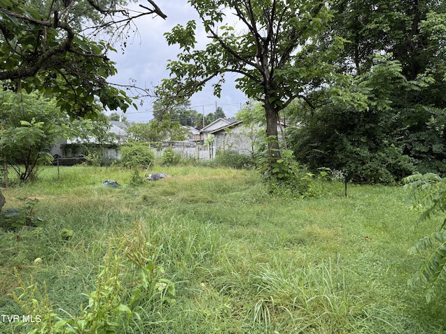 1741 Dunlap St, Bristol, VA 24201 - view of yard