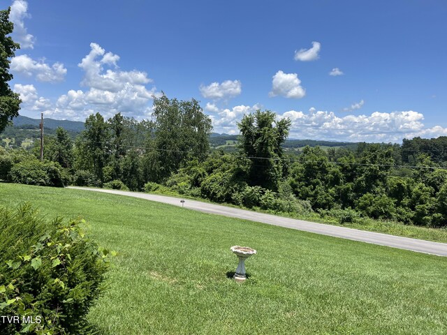 211 Overview, Jonesville, VA 24263 - photo 7