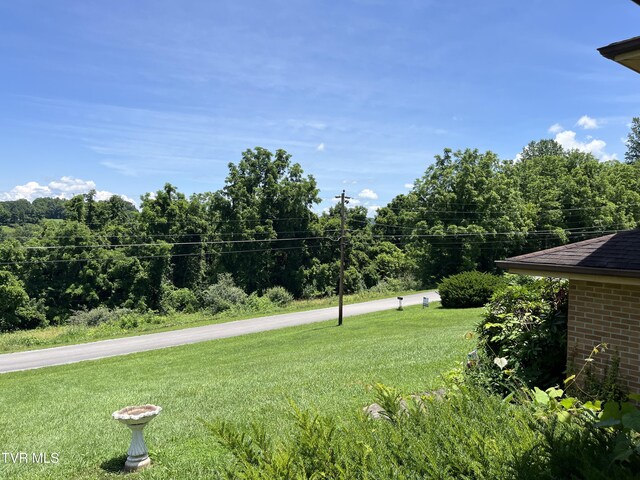 211 Overview, Jonesville, VA 24263 - photo 5