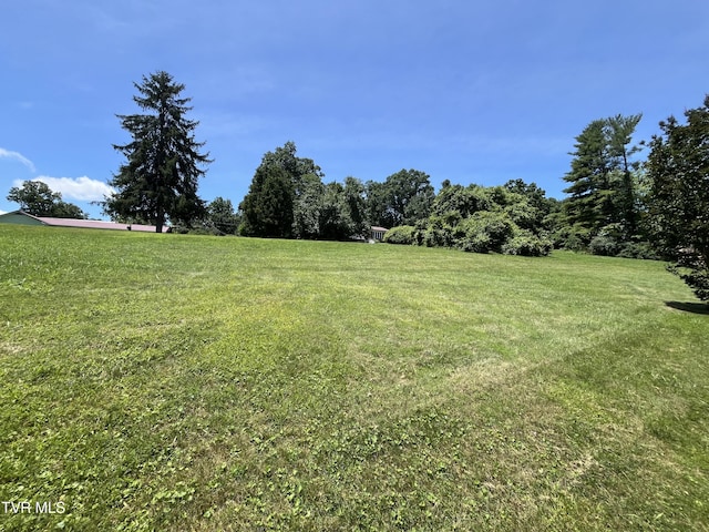 211 Overview, Jonesville, VA 24263 - photo 6