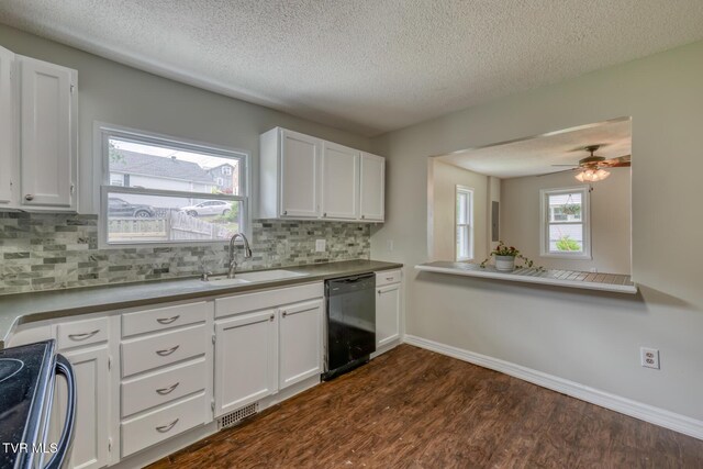 117 Dalton St, Kingsport, TN 37665 - photo 14