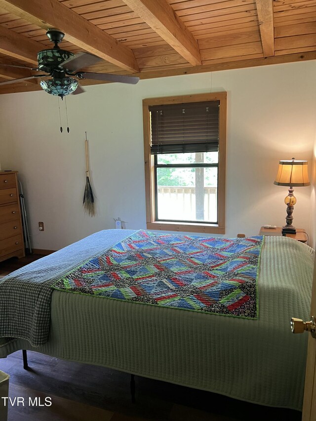 13660 Asheville Hwy, Greeneville, TN 37743 - photo 8