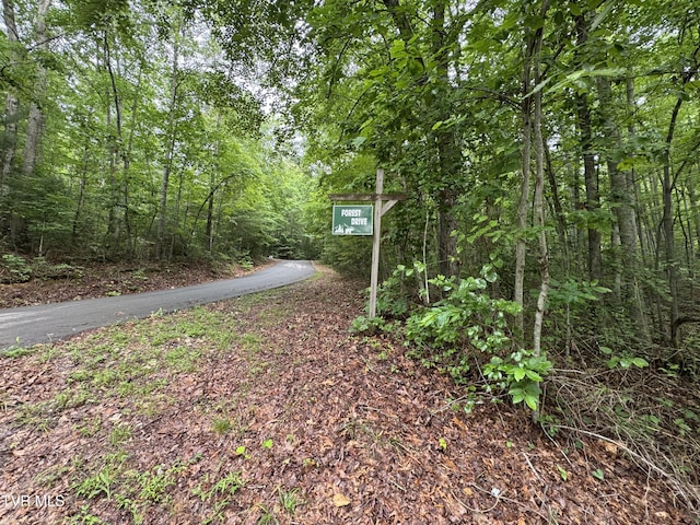 110 Forest Dr, Butler, TN 37640 - photo 8