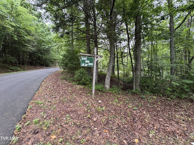 110 Forest Dr, Butler, TN 37640 - photo 10