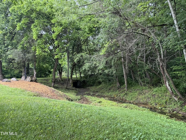 110 Forest Dr, Butler, TN 37640 - photo 13