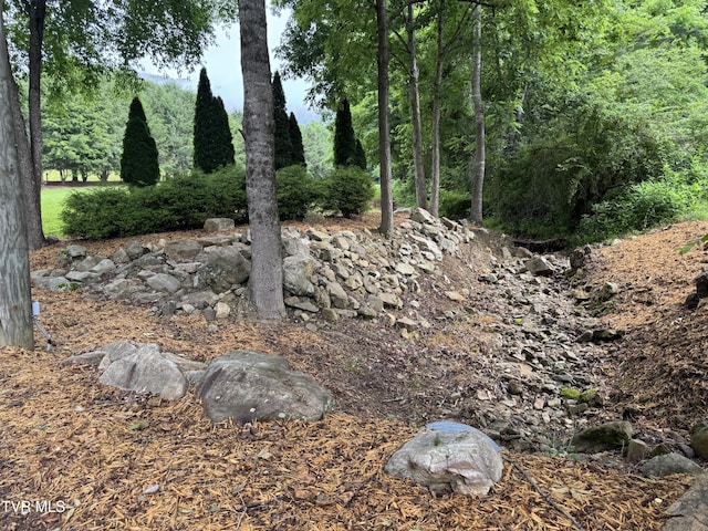 110 Forest Dr, Butler, TN 37640 - photo 15