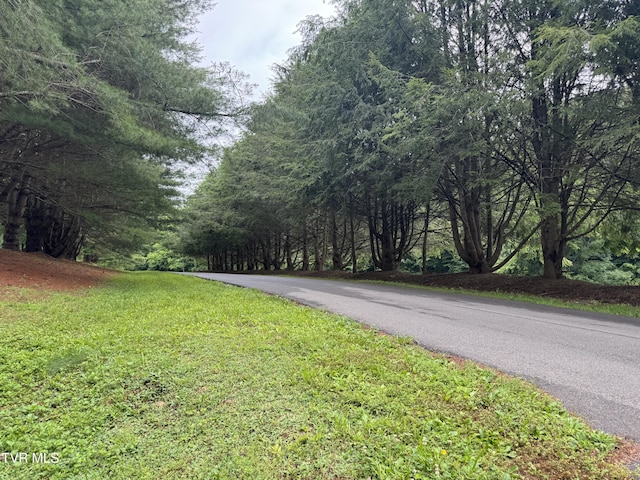 110 Forest Dr, Butler, TN 37640 - photo 18
