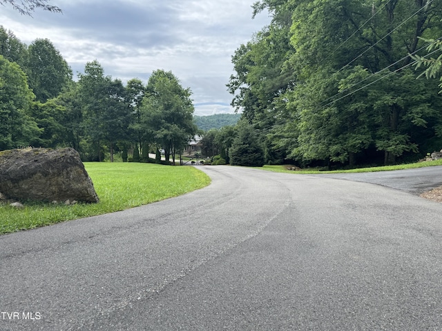 110 Forest Dr, Butler, TN 37640 - photo 20