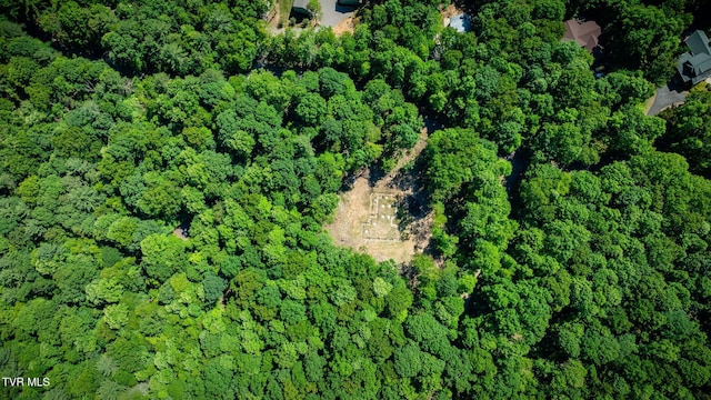 110 Forest Dr, Butler, TN 37640 - photo 38