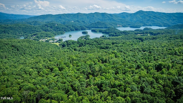 110 Forest Dr, Butler, TN 37640 - photo 3