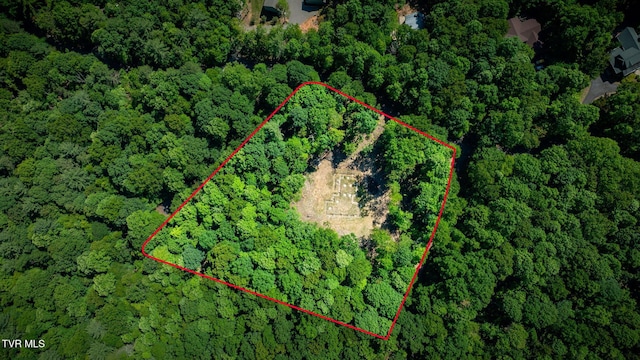 110 Forest Dr, Butler, TN 37640 - photo 1