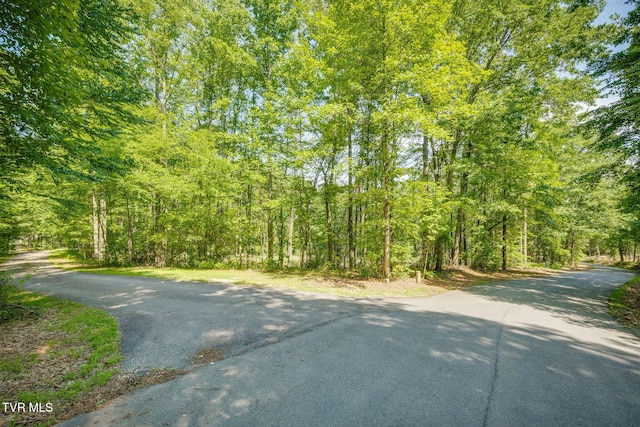 110 Forest Dr, Butler, TN 37640 - photo 22