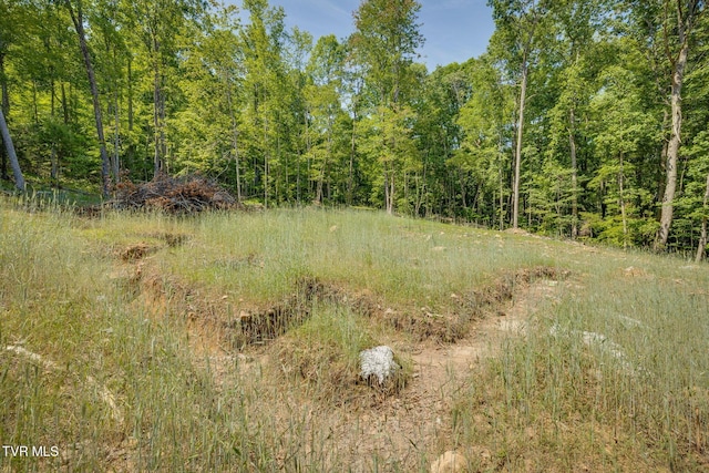 110 Forest Dr, Butler, TN 37640 - photo 23
