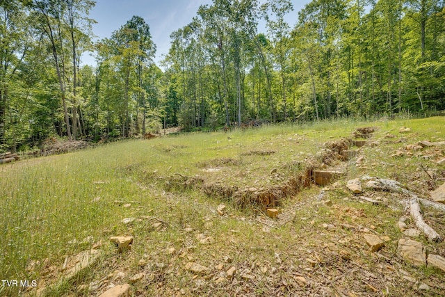110 Forest Dr, Butler, TN 37640 - photo 24