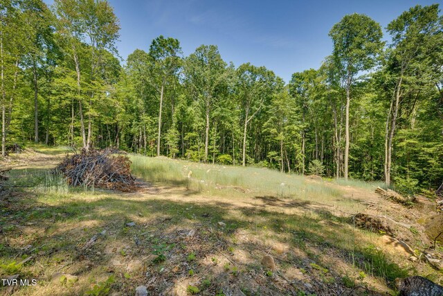 110 Forest Dr, Butler, TN 37640 - photo 25
