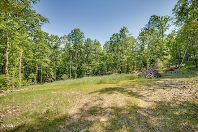 110 Forest Dr, Butler, TN 37640 - photo 27