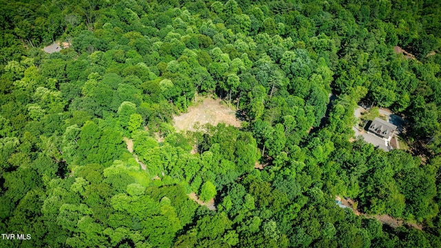 110 Forest Dr, Butler, TN 37640 - photo 28