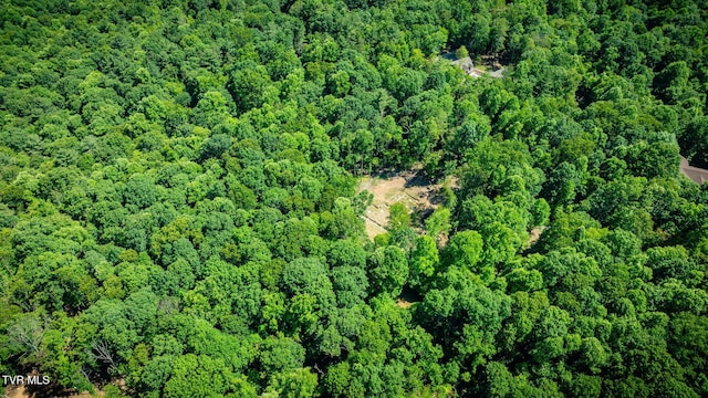 110 Forest Dr, Butler, TN 37640 - photo 30