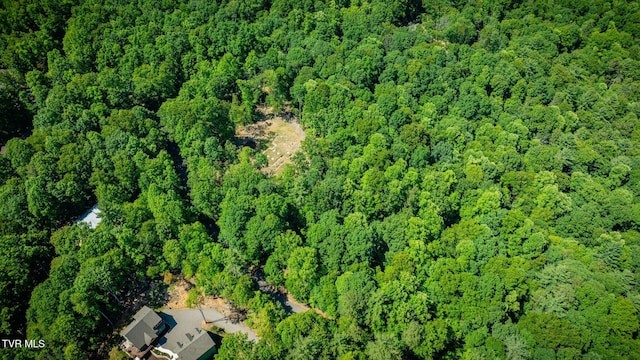 110 Forest Dr, Butler, TN 37640 - photo 31