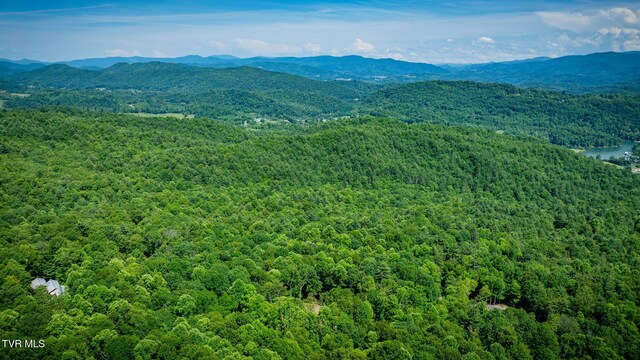 110 Forest Dr, Butler, TN 37640 - photo 32