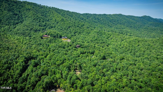 110 Forest Dr, Butler, TN 37640 - photo 33