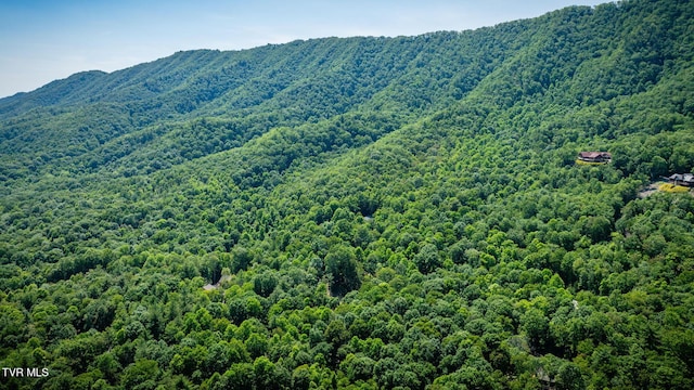 110 Forest Dr, Butler, TN 37640 - photo 34