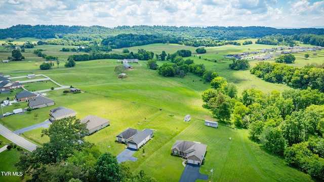 1645 Old Stagecoach Rd, Jonesborough, TN 37659 - view of rural area featuring a tree filled landscape