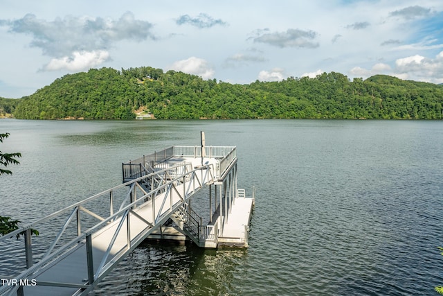 22627 Montego Bay Rd, Abingdon, VA 24211 - dock area with a water view and a forest view