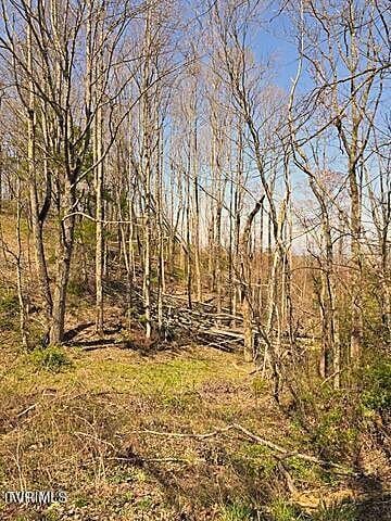 TBD Walnut Mountain Rd, Roan Mountain, TN 37687