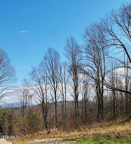 TBD Walnut Mountain Rd, Roan Mountain, TN 37687