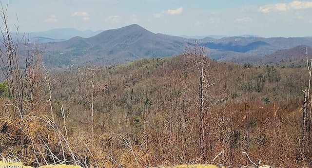 TBD Walnut Mountain Rd, Roan Mountain, TN 37687