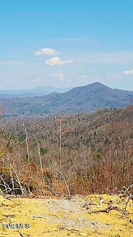 TBD Walnut Mountain Rd, Roan Mountain, TN 37687