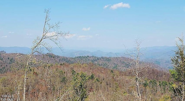 TBD Walnut Mountain Rd, Roan Mountain, TN 37687