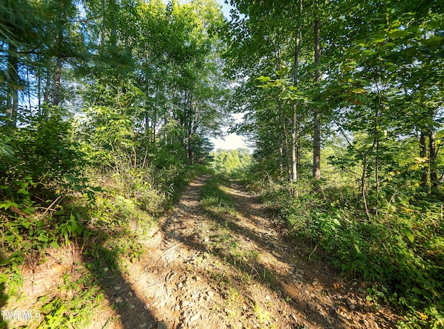 TBD Walnut Mountain Rd, Roan Mountain, TN 37687