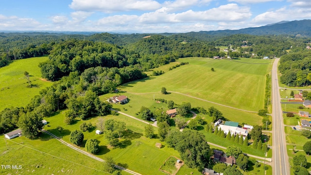 788 Watauga Rd, Watauga, TN 37694 - bird's eye view of a forest and a mountain backdrop
