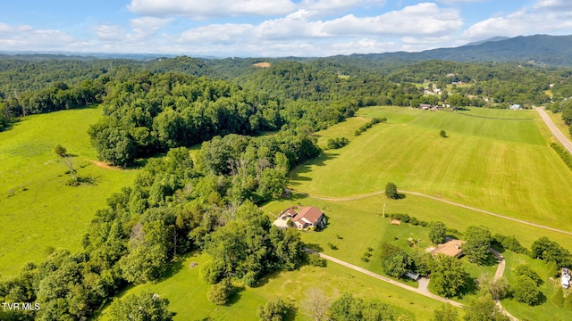 788 Watauga Rd, Watauga, TN 37694 - bird's eye view of a forest and a mountain backdrop