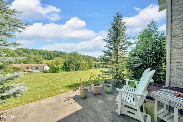 788 Watauga Rd, Watauga, TN 37694 - view of patio / terrace with a forest view