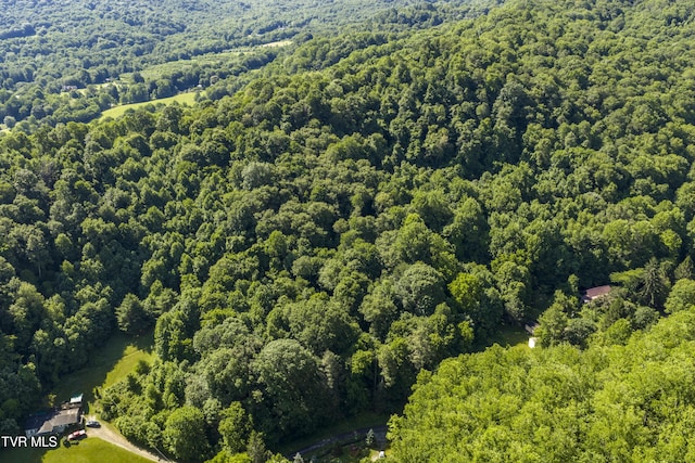 000 Garland Rd, Roan Mountain, TN 37687