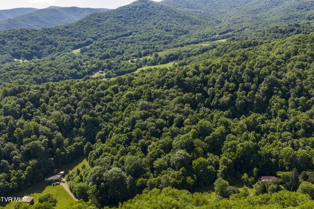 000 Garland Rd, Roan Mountain, TN 37687