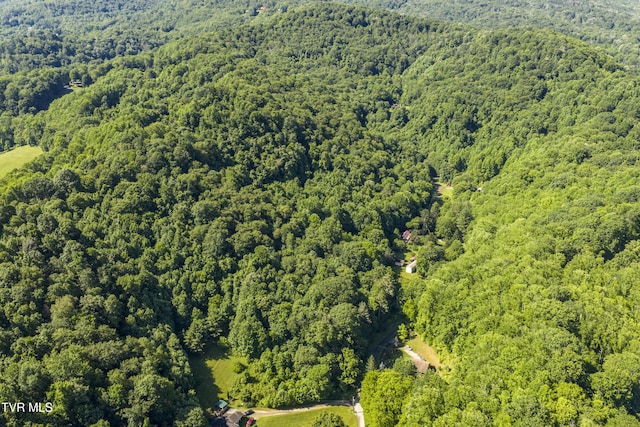 000 Garland Rd, Roan Mountain, TN 37687