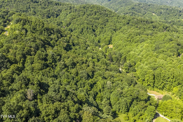 000 Garland Rd, Roan Mountain, TN 37687