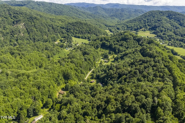 000 Garland Rd, Roan Mountain, TN 37687