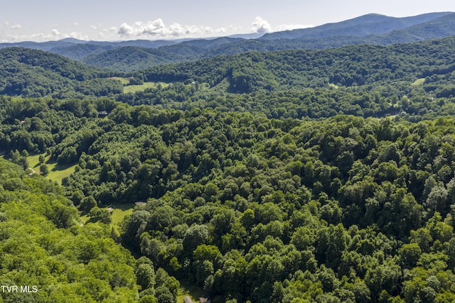 000 Garland Rd, Roan Mountain, TN 37687