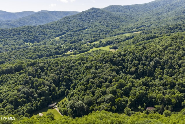 000 Garland Rd, Roan Mountain, TN 37687