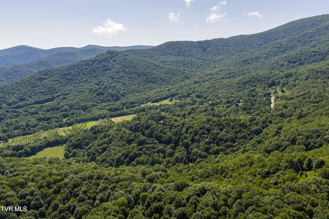 000 Garland Rd, Roan Mountain, TN 37687