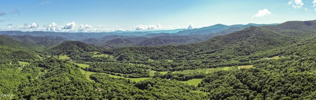 000 Garland Rd, Roan Mountain, TN 37687