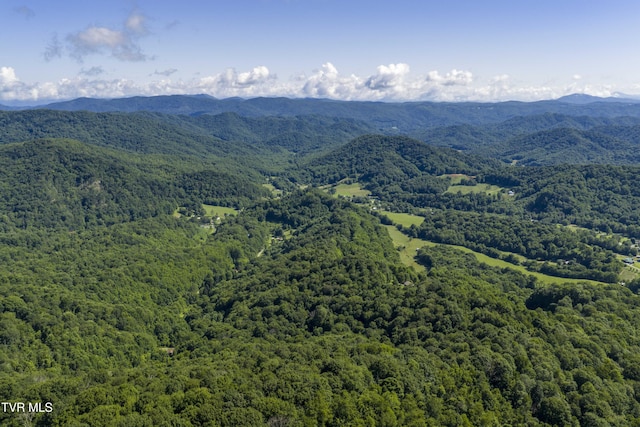 000 Garland Rd, Roan Mountain, TN 37687