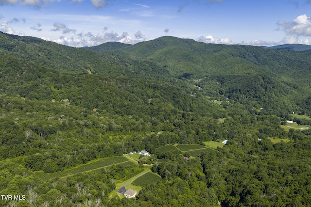 000 Garland Rd, Roan Mountain, TN 37687