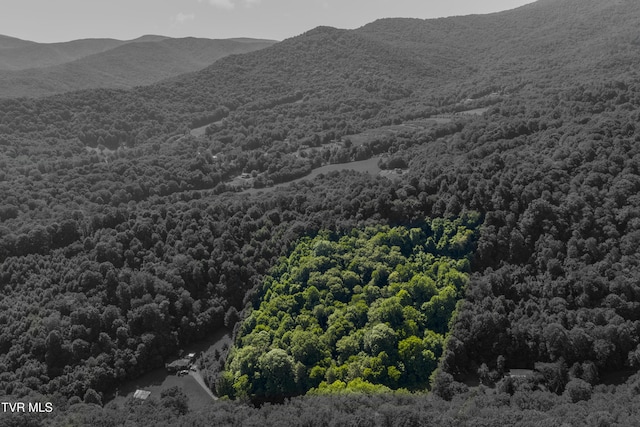 000 Garland Rd, Roan Mountain, TN 37687